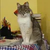 Отзыв от Варвара Кольцова